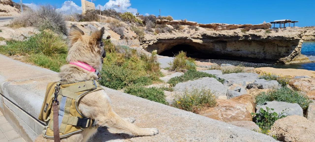 La Guarida Rustica Del Zorro Διαμέρισμα Jijona Εξωτερικό φωτογραφία